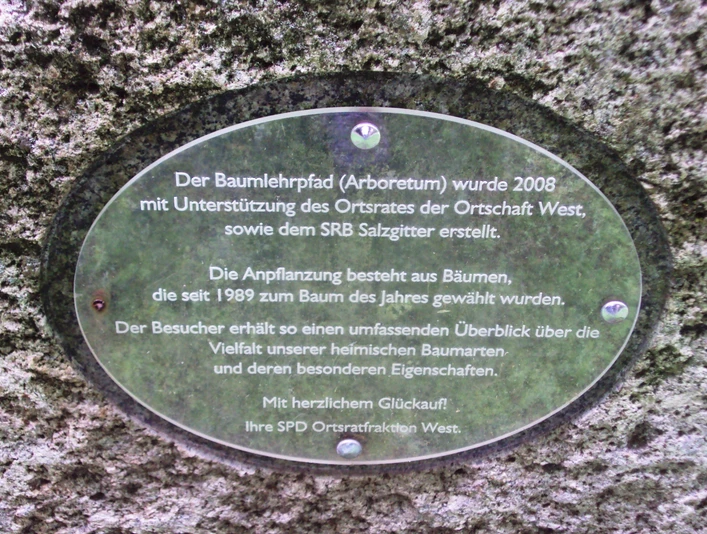 Infotext Baumlehrpfad Salzgitter-Gebhardshagen