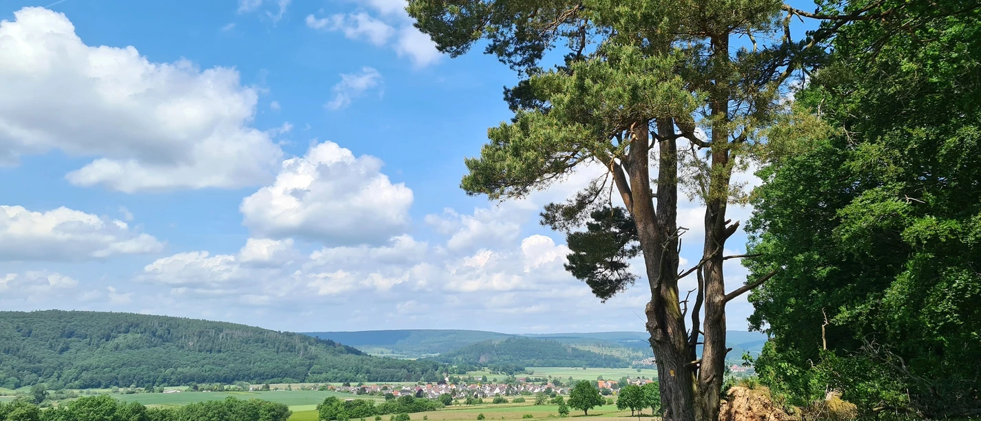 Wandern auf dem Heubergweg Wandern auf dem Heubergweg