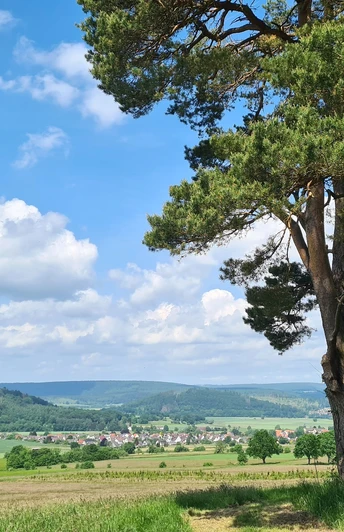Wandern auf dem Heubergweg