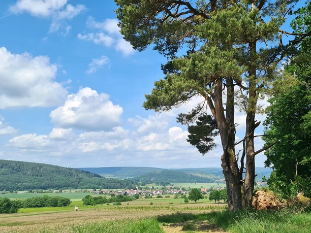 Wandern auf dem Heubergweg