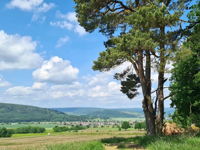 Wandern auf dem Heubergweg