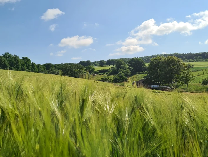Qualitätstour Heubergweg Hb 1
