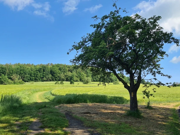Qualitätstour Heubergweg Hb 1 Qualitätstour Heubergweg Hb 1