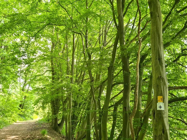 Wandern auf dem Heubergweg Wandern auf dem Heubergweg