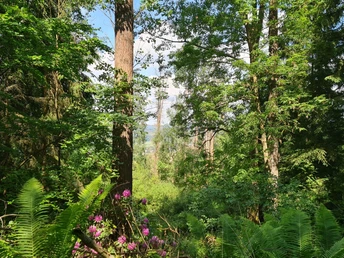 Qualitätstour Heubergweg Hb 1