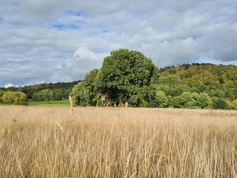 Qualitätstour Waldläufer (De 6 + LRR)