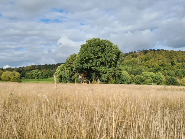 Qualitätstour Waldläufer (De 6 + LRR)