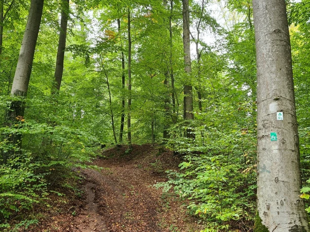 Qualitätstour Waldläufer (De 6 + LRR)