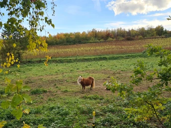 Qualitätstour Waldläufer (De 6 + LRR)