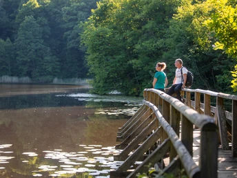 Bergsee Delliehausen