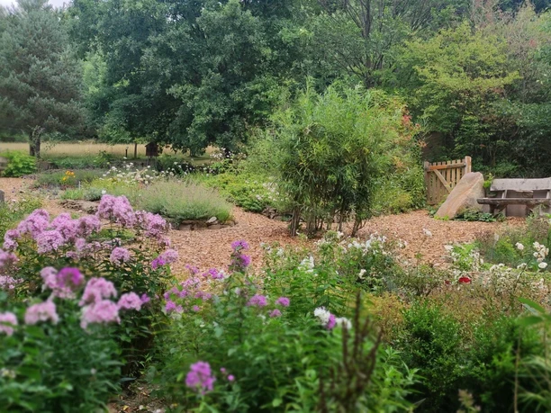 Kräutergarten im ErlebnisWald