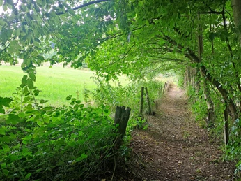 Qualitätstour Lunauborn (Schö 1)