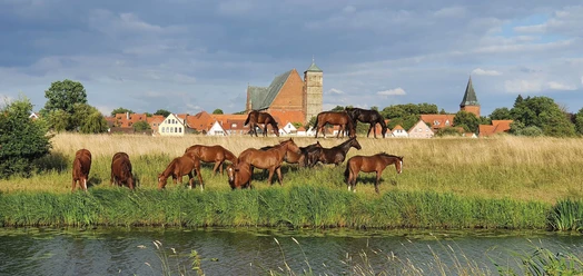 Stadt Verden (Aller)