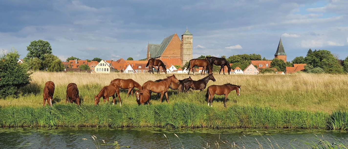 Stadt Verden (Aller)