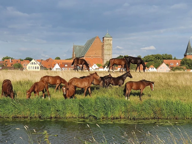 Stadt Verden (Aller)