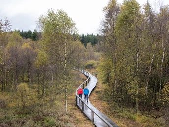 Wanderer auf dem Steg im Hochmoor Mecklenbruch