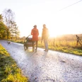 Wanderung mit Kinderwagen und Hund am Hochmoor