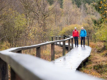 Wanderer auf dem Steg im Hochmoor Mecklenbruch