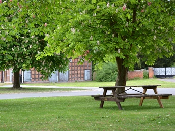 Dorfplatz im Rundling