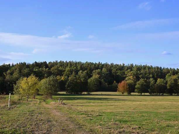 In der Göhrde