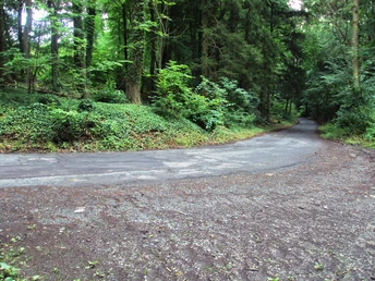 Salzgitter Höhenzug, Wanderweg 27 Waldausgang auf Zufahrtsstrasse zur Burgruine Lichtenberg