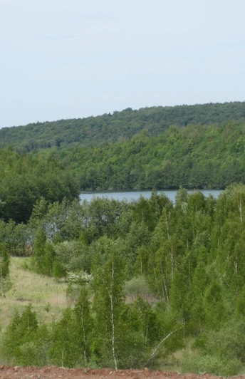Tagebau Haverlahwiese bei Salzgitter-Gebhardshagen