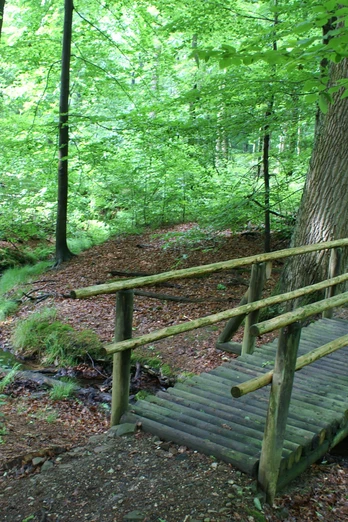 Brücke auf dem Bergmannsweg