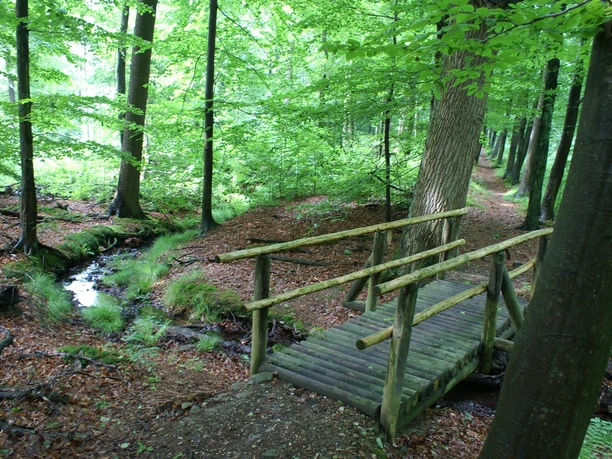 Brücke auf dem Bergmannsweg