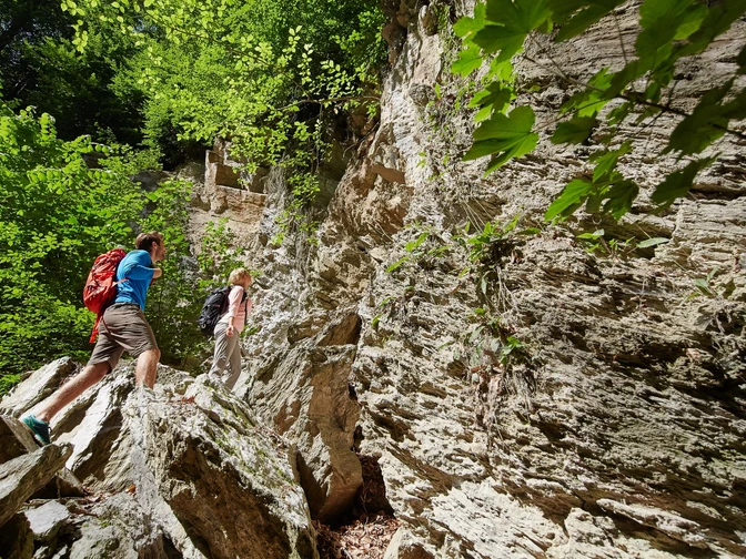 Dinsterbachschwinde Questenberg