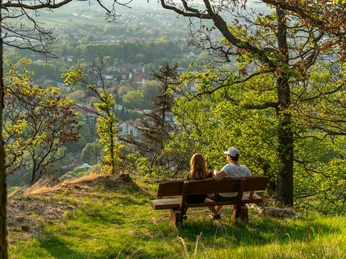 Blick auf Bad Harzburg