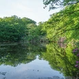 Ellernteich im Schlosspark