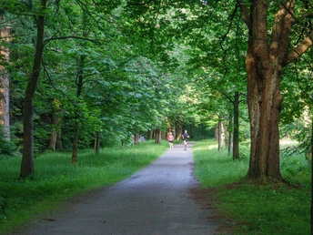 Unterwegs im Schlosspark