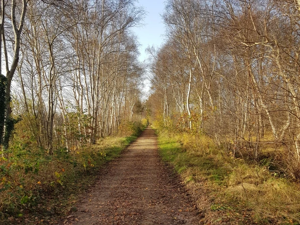 Dänikhorster Moor
