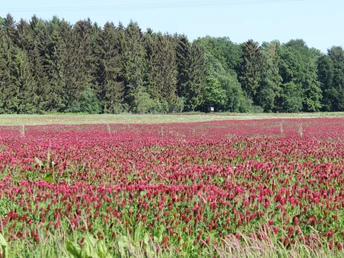 Landidylle Eggermühlen