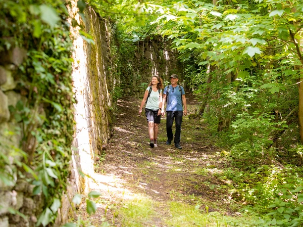 Klostertour - Wanderung entlang historischer Sandsteinmauern