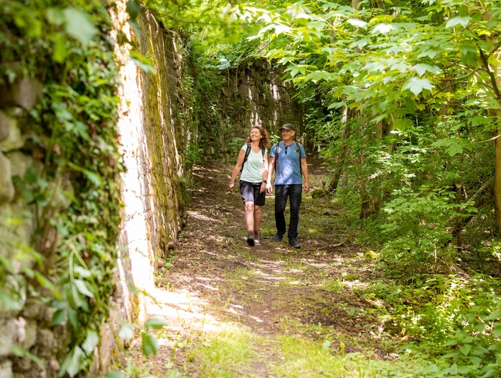 Klostertour - Wanderung entlang historischer Sandsteinmauern