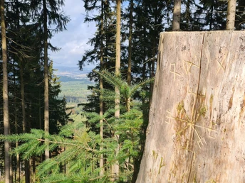 Qualitätstour Hilskammweg (Gr 1)