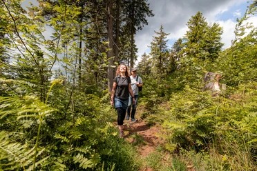 Wanderer auf dem Hilskammweg (Gr 1)