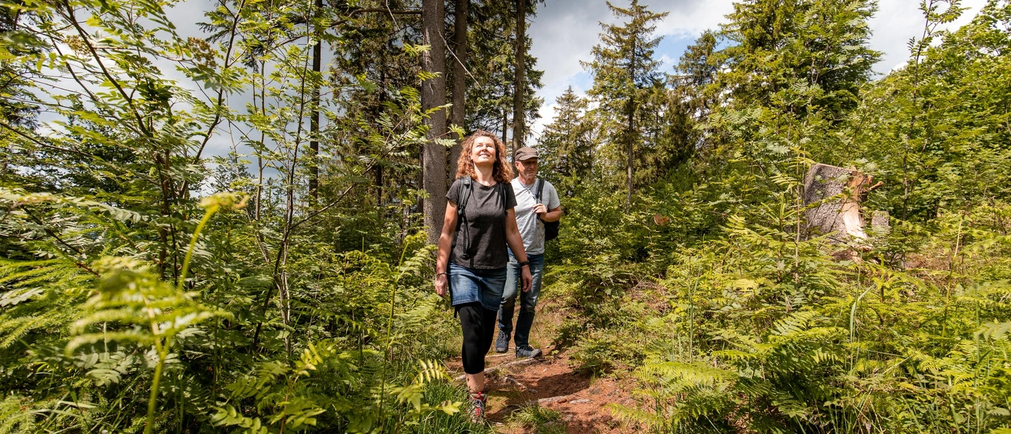 Wanderer auf dem Hilskammweg (Gr 1)