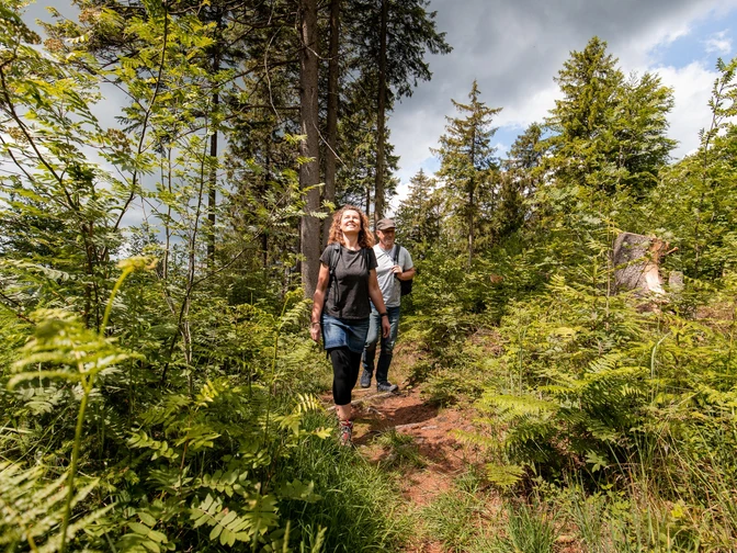 Wanderer auf dem Hilskammweg (Gr 1)
