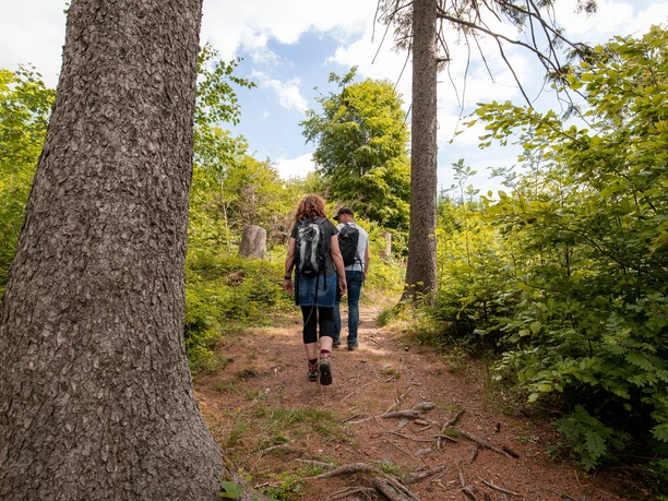 Wanderer auf dem Hilskammweg (Gr 1)