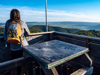 Aussicht vom Ebersnackenturm im Vogler