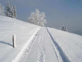 Winterwandern vom Eigenthal nach Chräigütsch