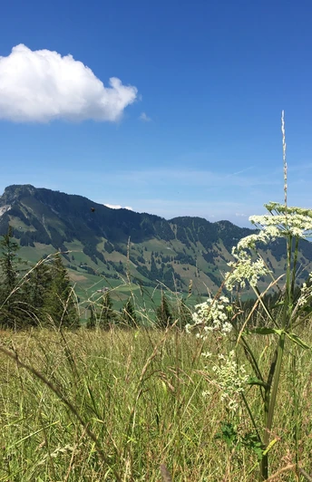Ächerli - Stanserhorn