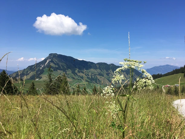 Ächerli - Stanserhorn