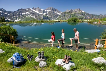 Kitzelpfad rund um den Härzlisee