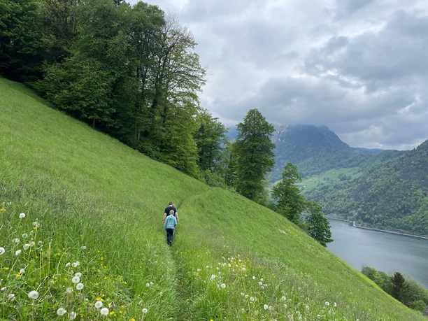 Wanderung oberhalb dem Alpnachersee zum Zingel