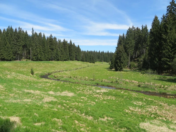 "Schwarze Pockau" bei Kühnhaide