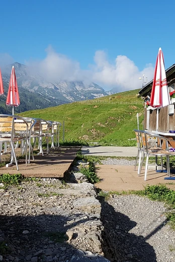 Alpwirtschaft Goldplangg