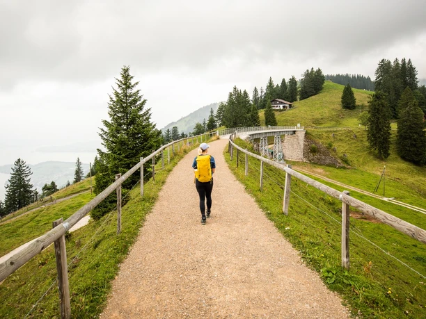 Über die Unterstettenbrücke geht es weiter nach Rigi Kaltbad